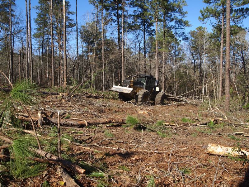 Land Clearing Machinery