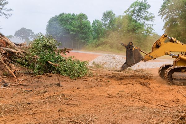 Ground Clearing in Claremore