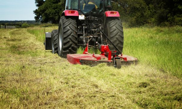 Brush Clearing Service in Claremore
