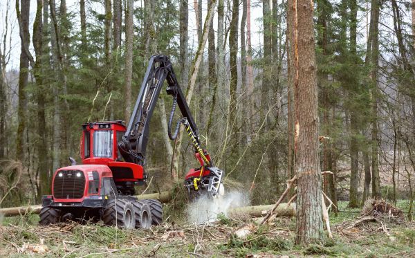 Cost of Forest Clearance Service in Claremore
