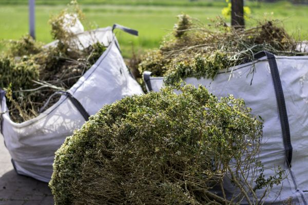Cost of Bushes Clearing in Claremore