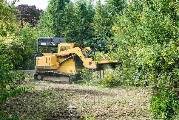 Cost of Pathway Clearing in Claremore