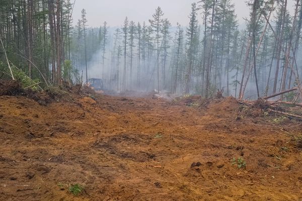 Cost of Hill Clearing in Claremore