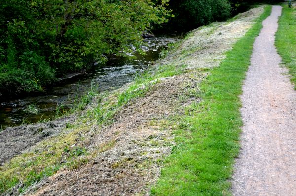 Cost of Trail Cutting in Claremore